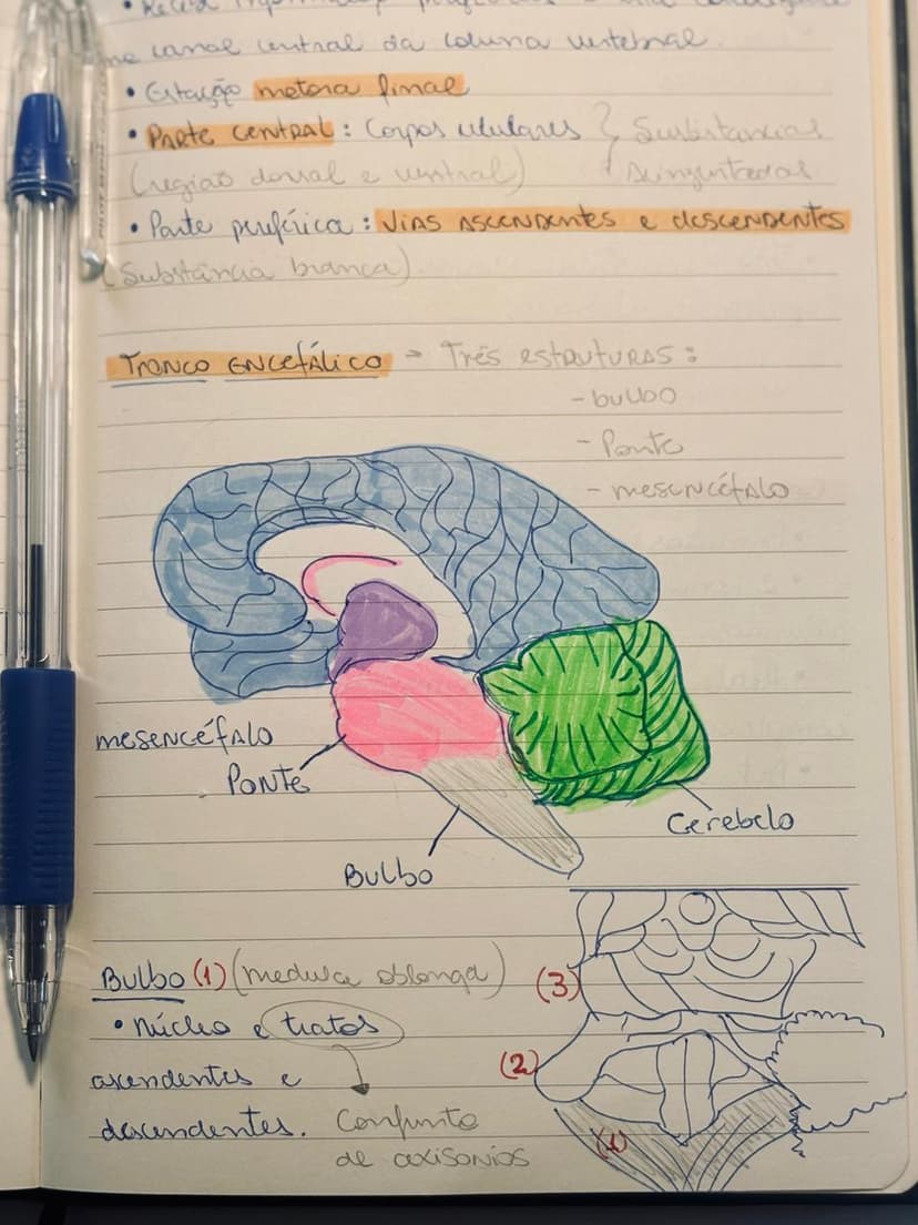Aperfeiçoamento em Psicobiologia